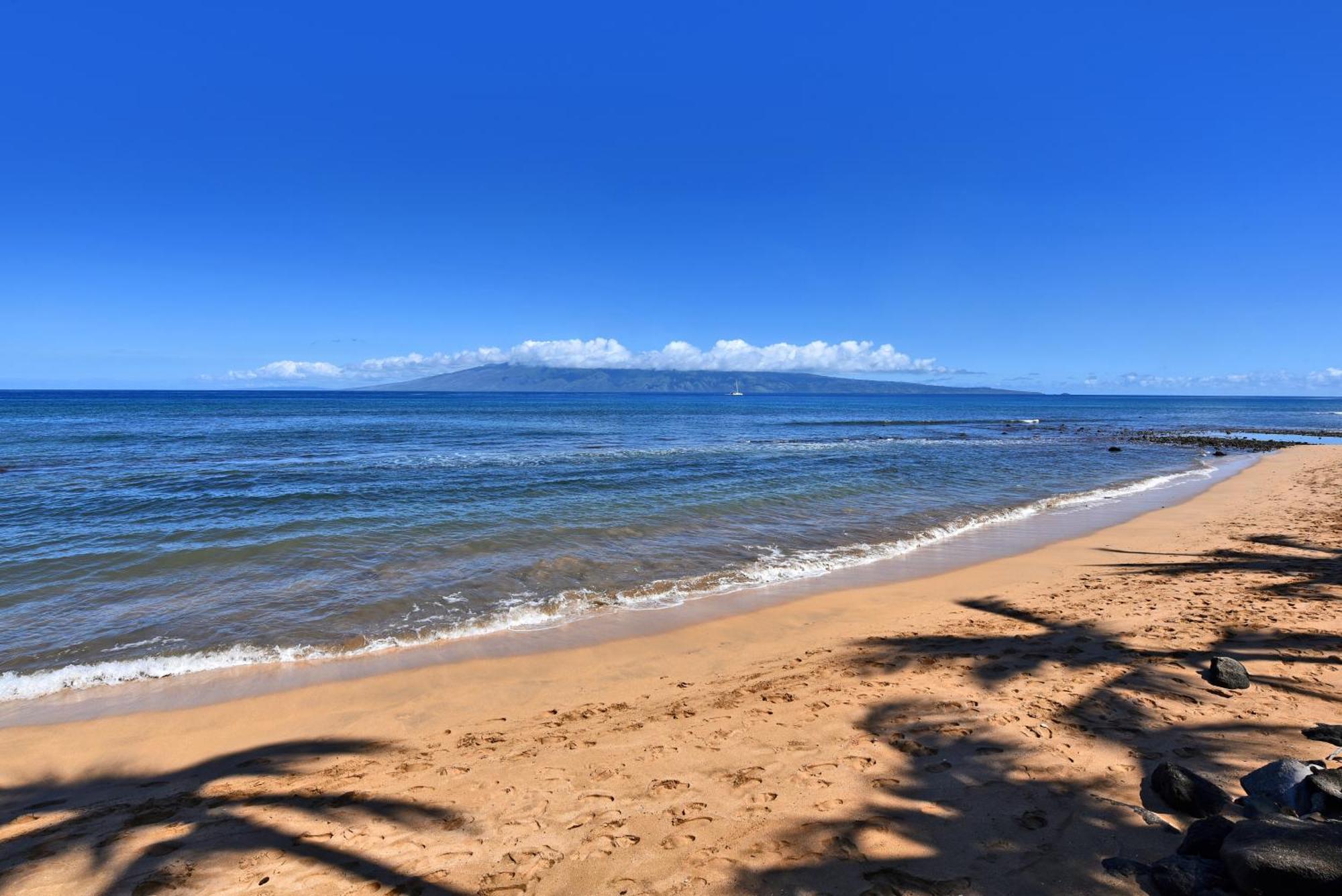 Kaanapali Shores 160 - Sleep Steps Away From The Ocean Kahana ภายนอก รูปภาพ