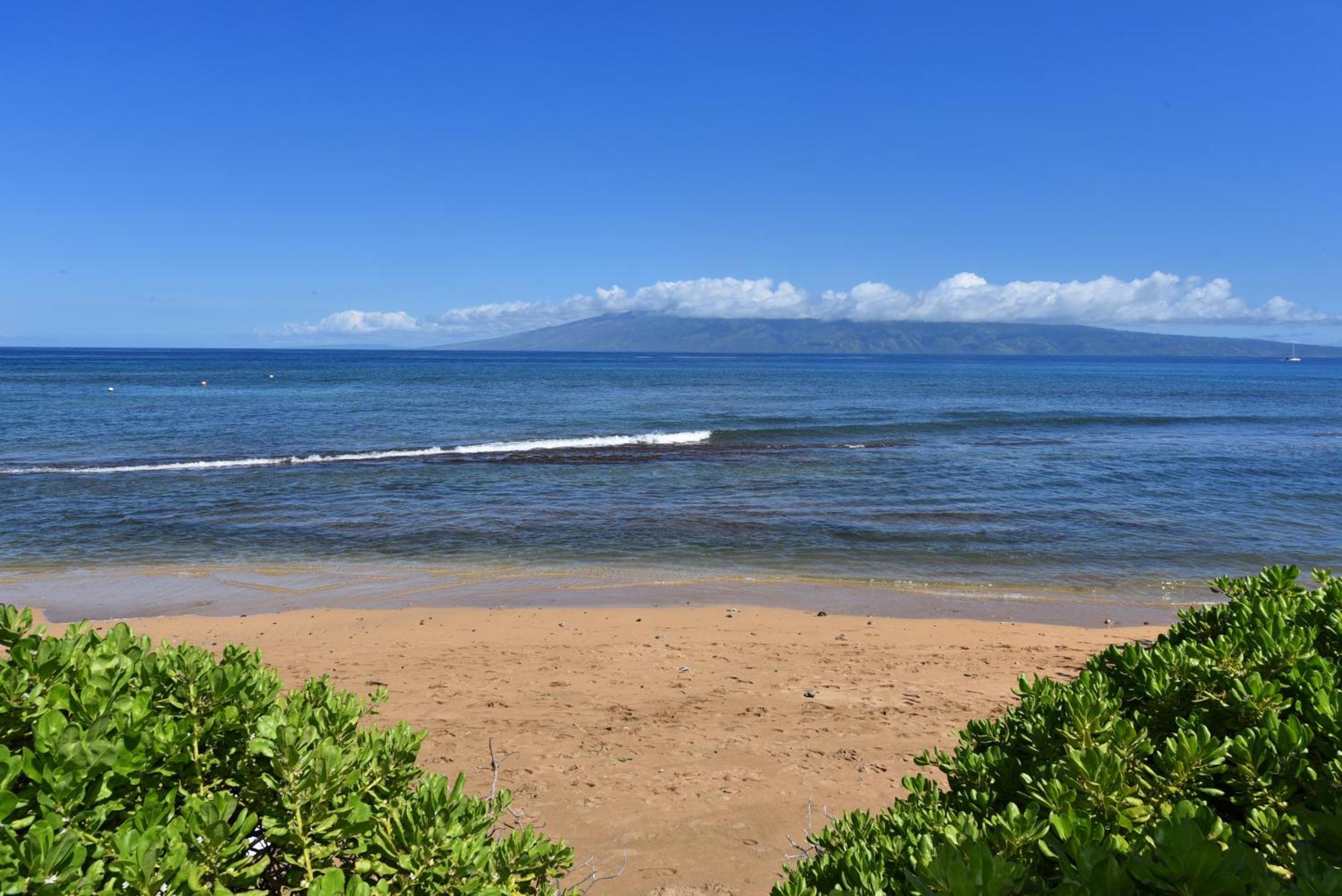 Kaanapali Shores 160 - Sleep Steps Away From The Ocean Kahana ภายนอก รูปภาพ